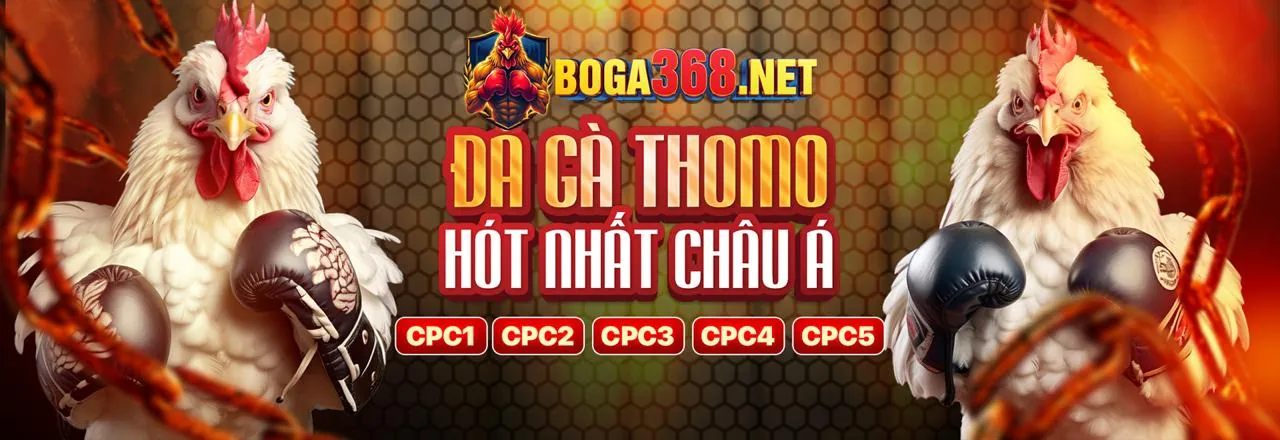 Đá gà trực tuyến bij 88
